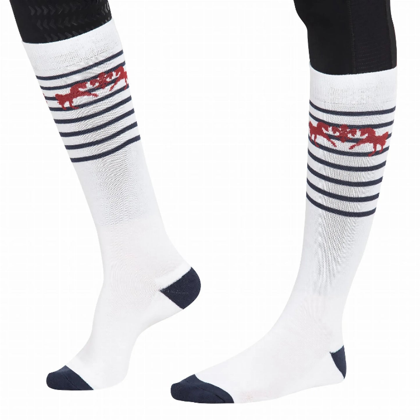 Equine Couture Sam Unisex Knee Hi Socks - 3 Pack