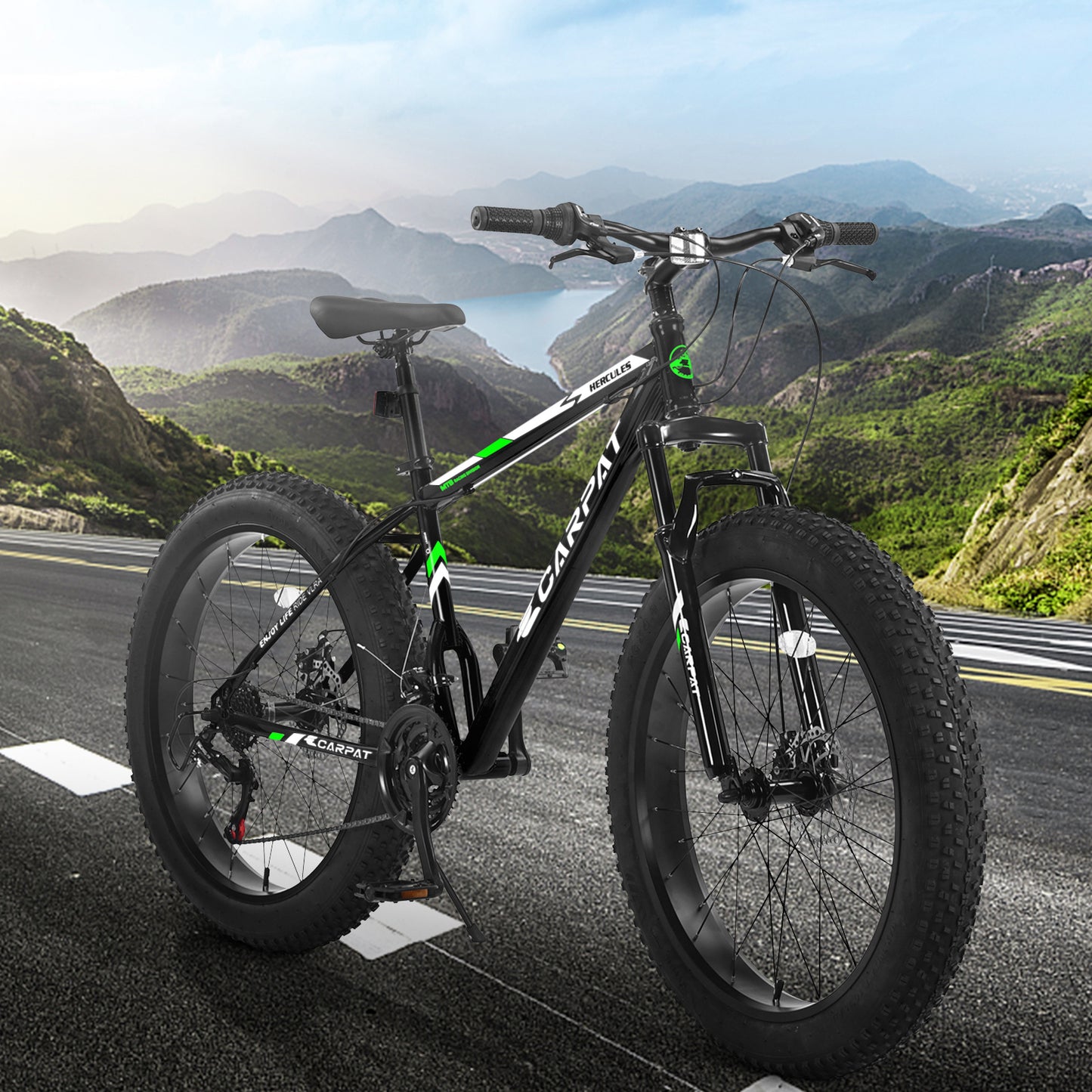 Bicycle S26109-BLACK-GREEN