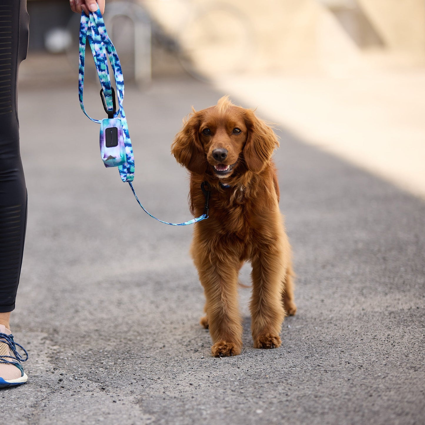 Poop Bag Dispenser - Tie Die by GF Pet