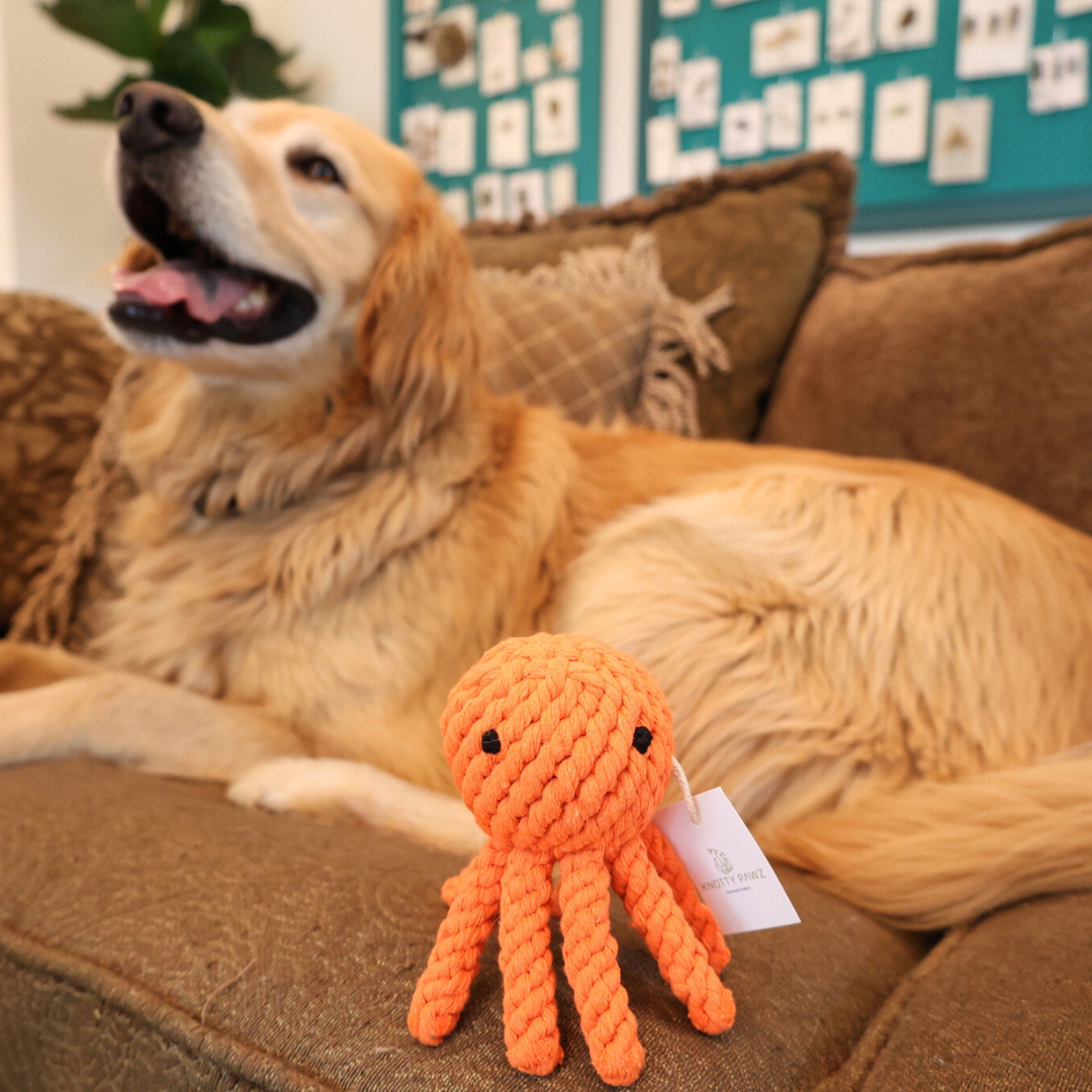 Ollie the Octopus Rope Toy by Knotty Pawz