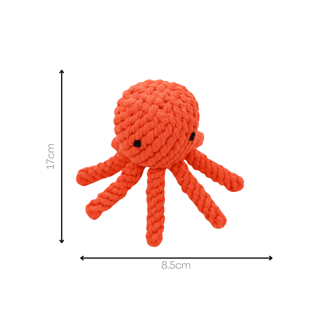 Ollie the Octopus Rope Toy by Knotty Pawz