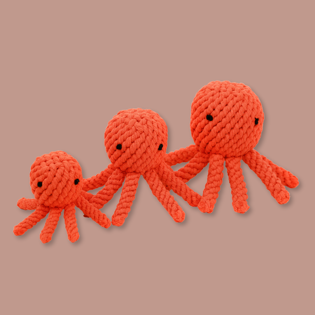 Ollie the Octopus Rope Toy by Knotty Pawz