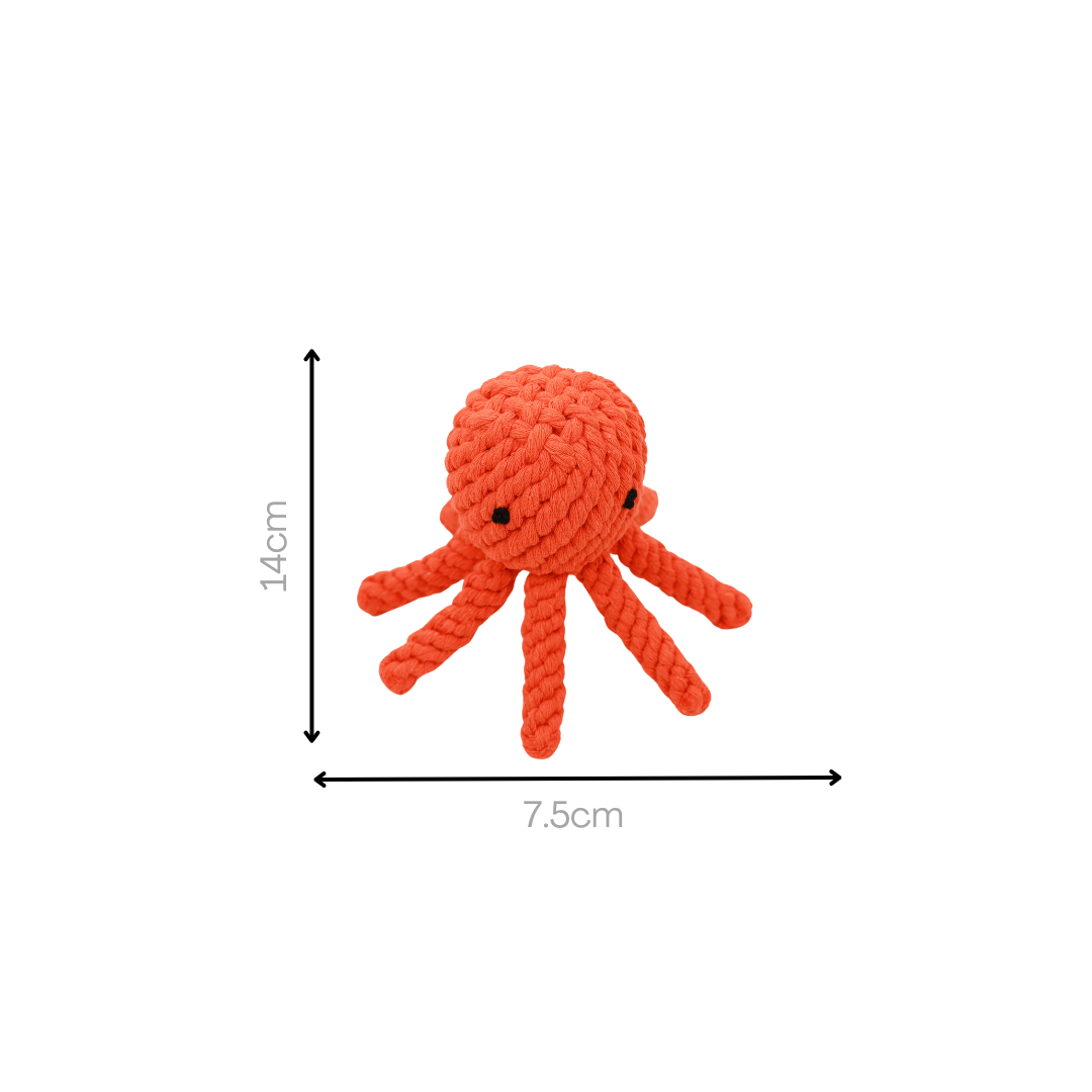 Ollie the Octopus Rope Toy by Knotty Pawz
