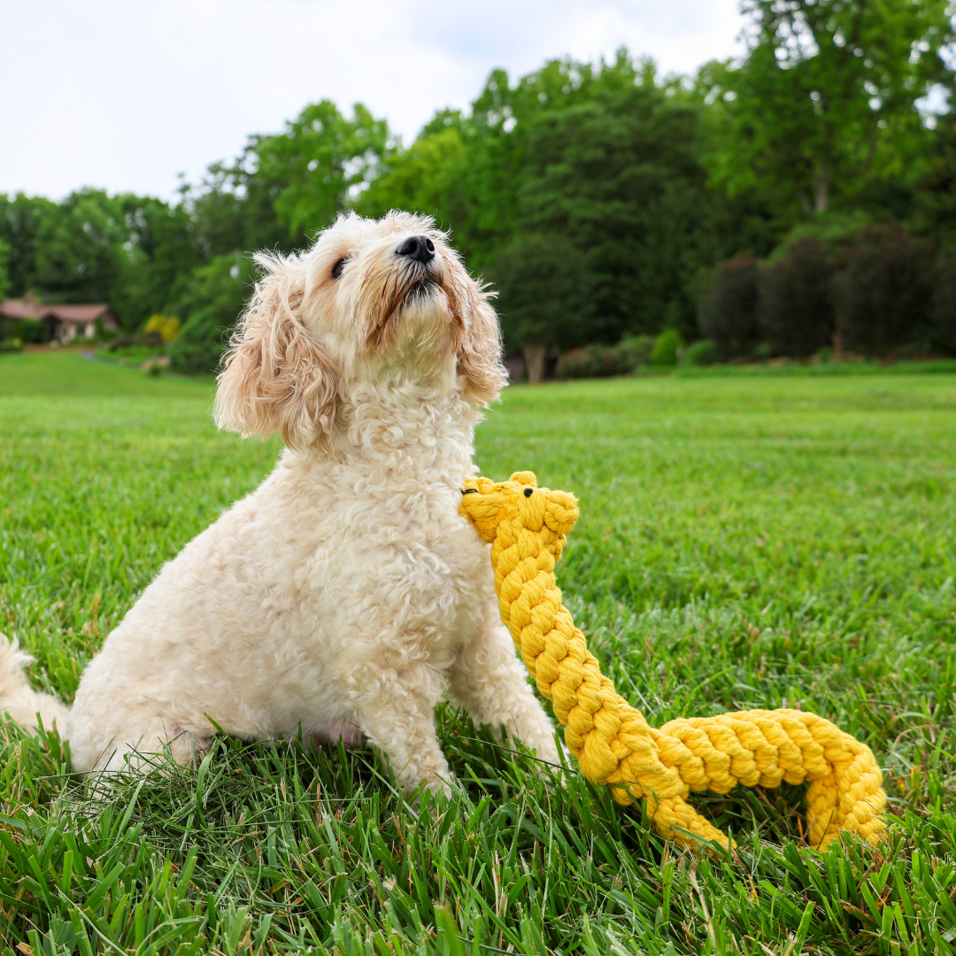 Joy the Giraffe Rope Toy by Knotty Pawz