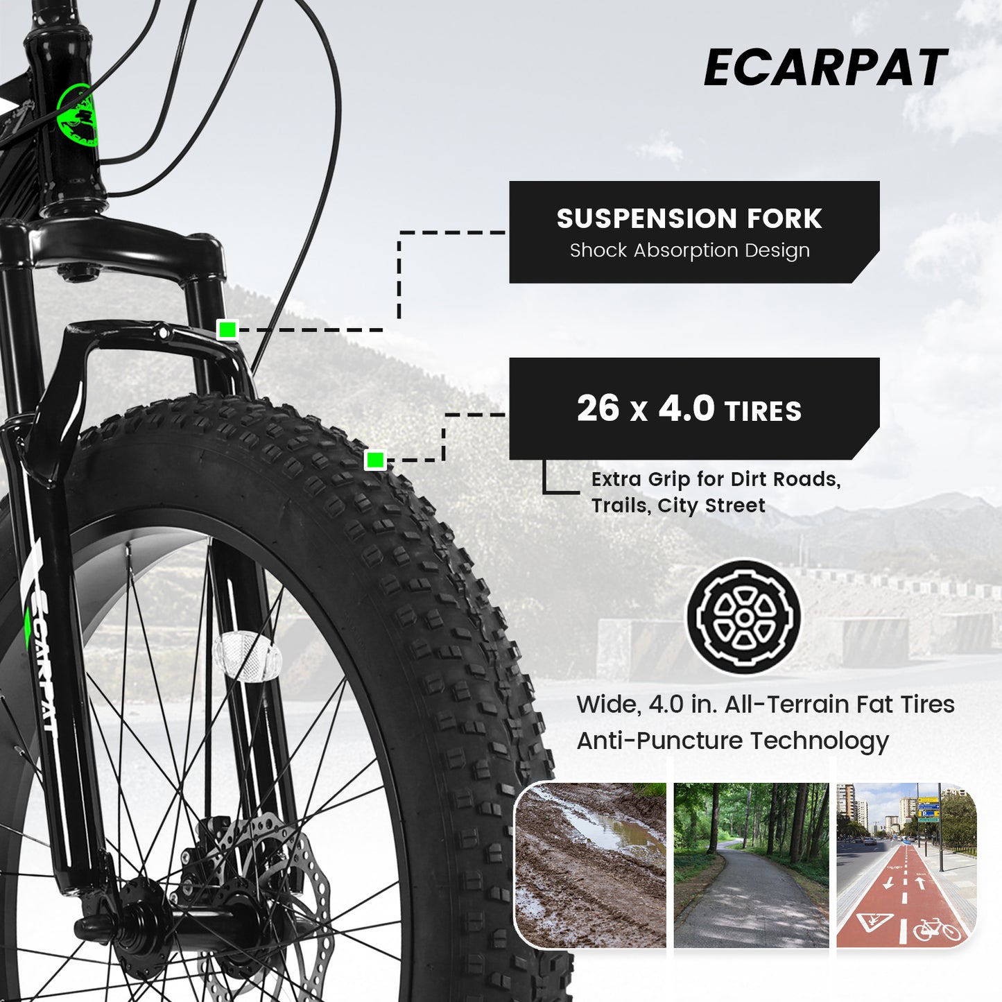Bicycle S26109-BLACK-GREEN