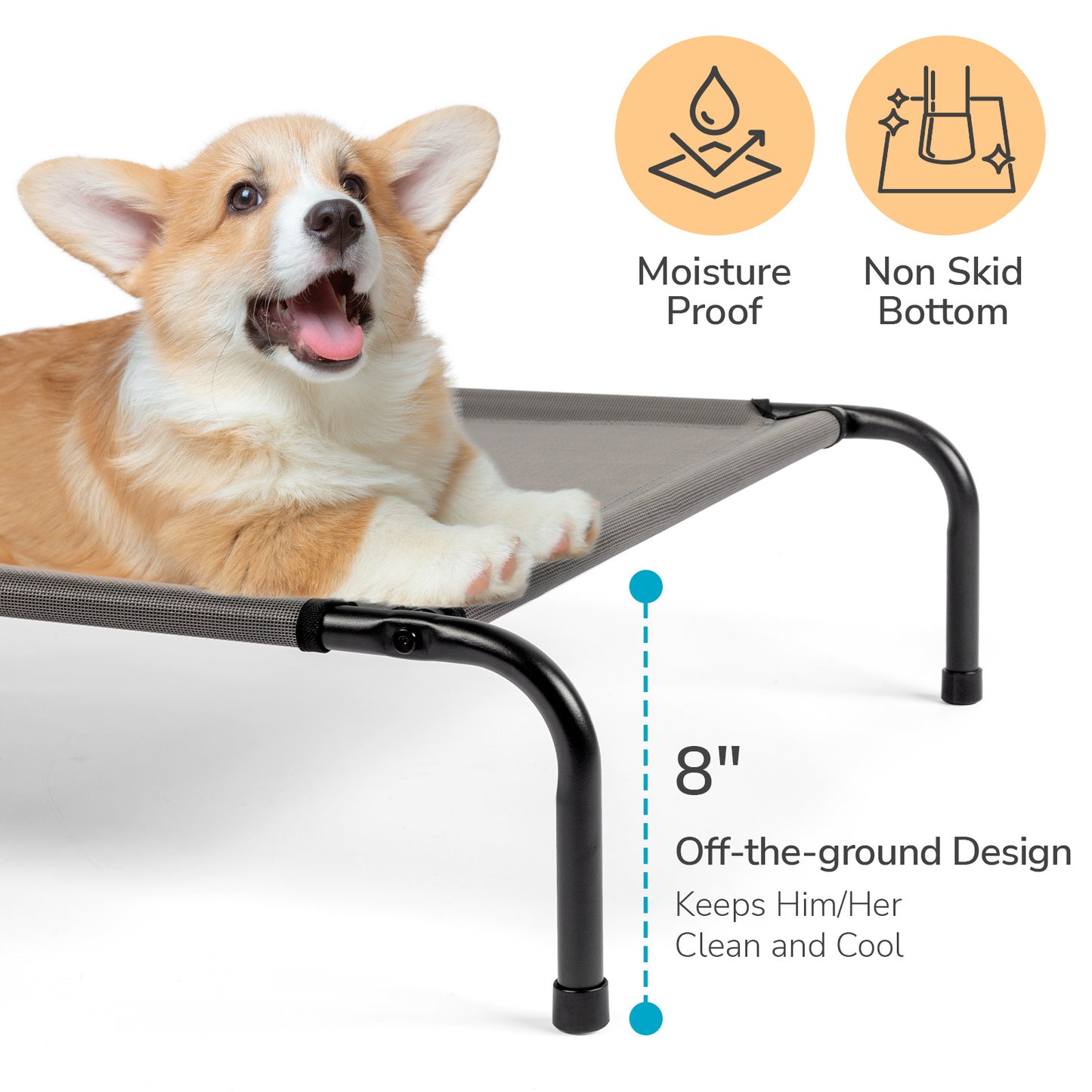 Elevated Pet Beds