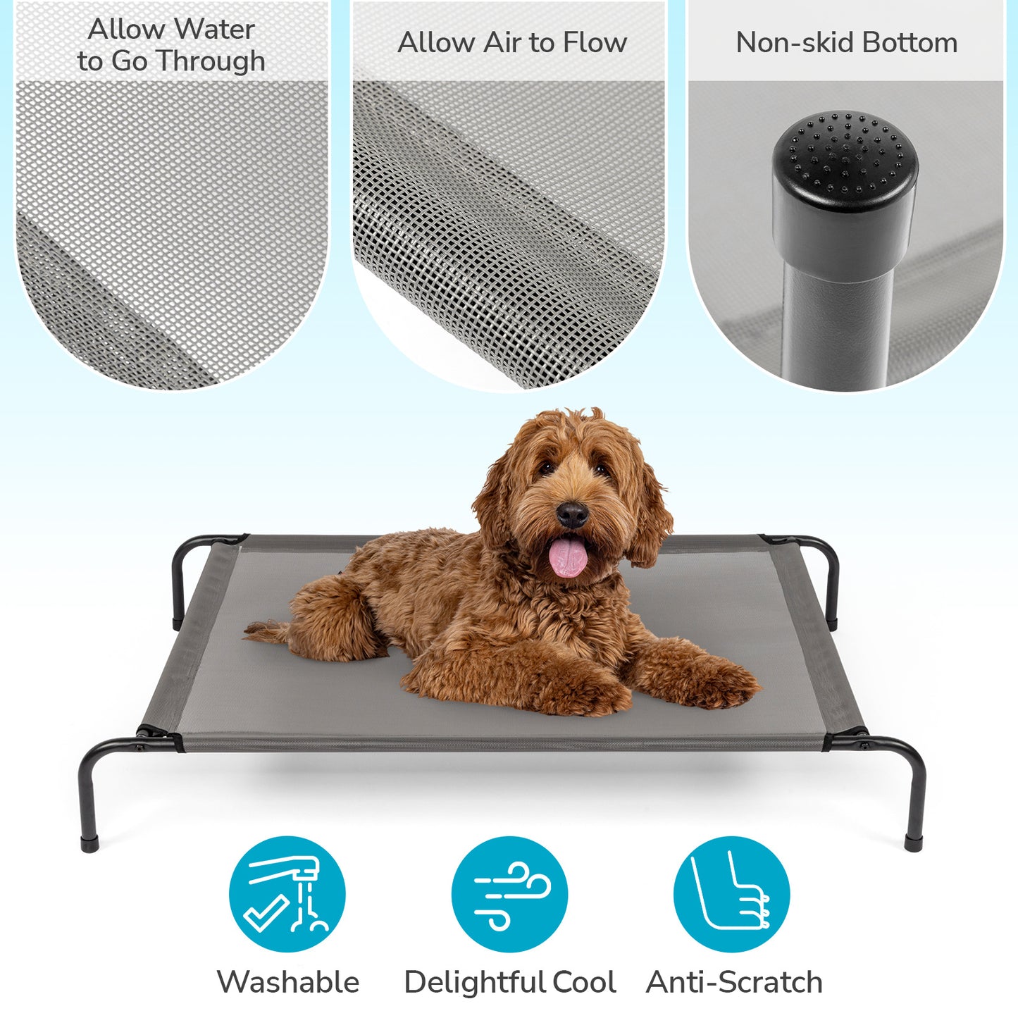 Elevated Pet Beds