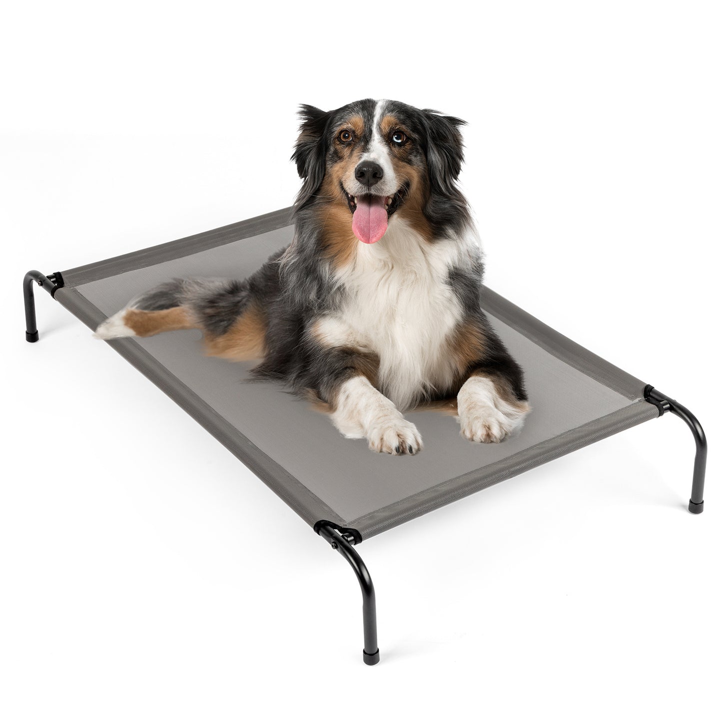 Elevated Pet Beds
