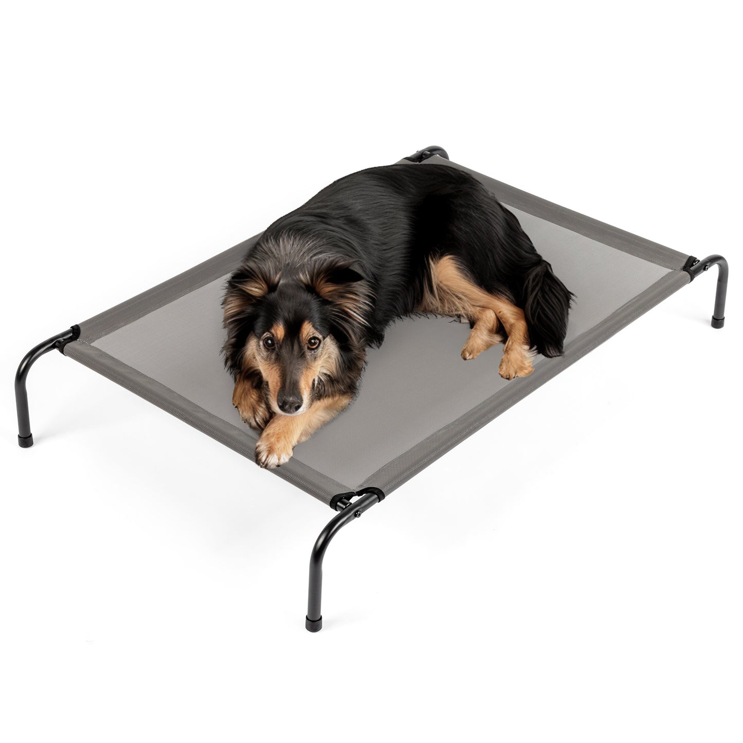 Elevated Pet Beds
