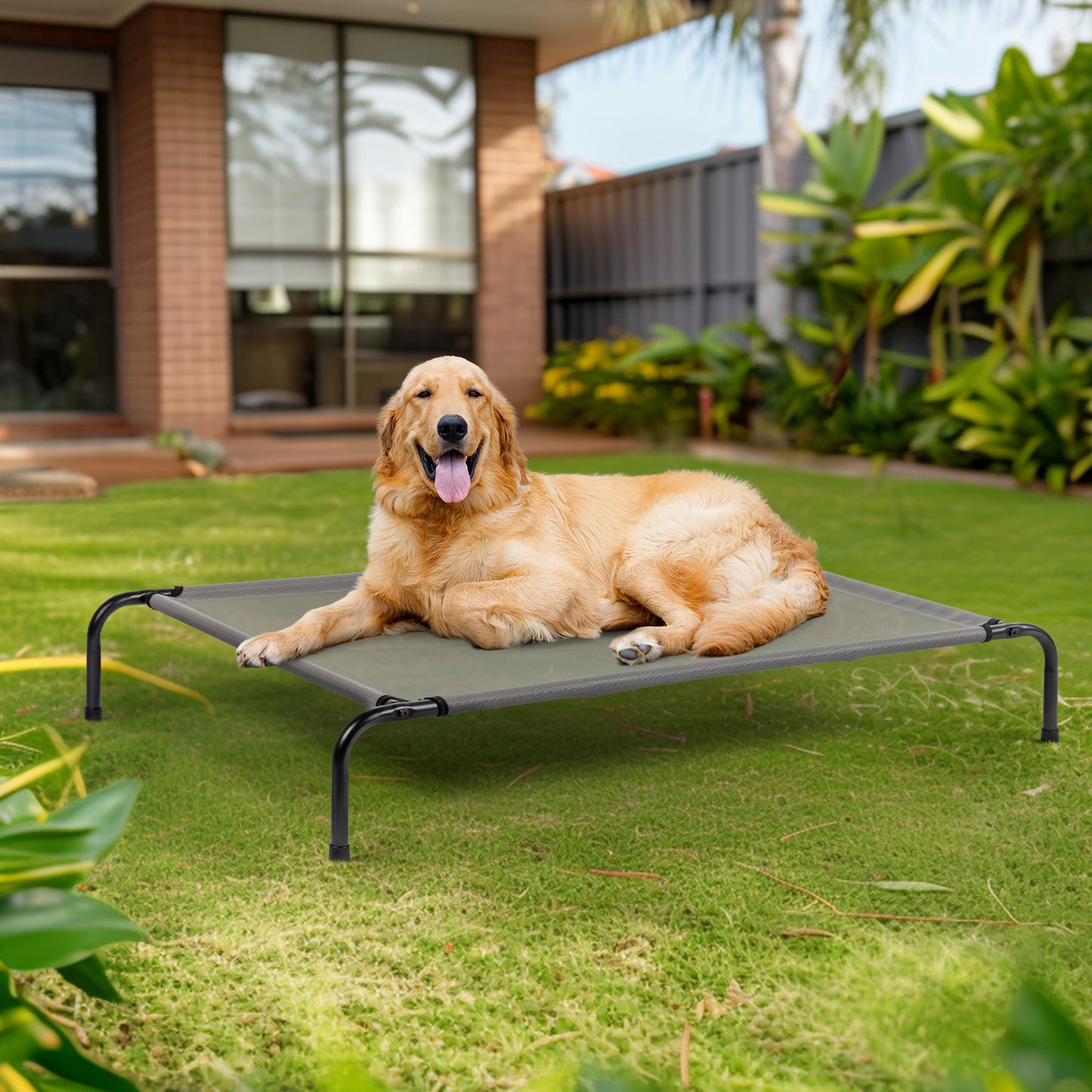 Elevated Pet Beds