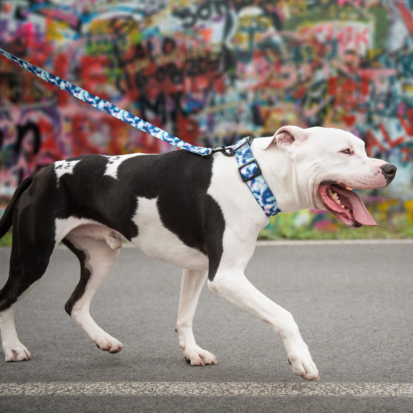 Printed Leash - Tie Dye by GF Pet