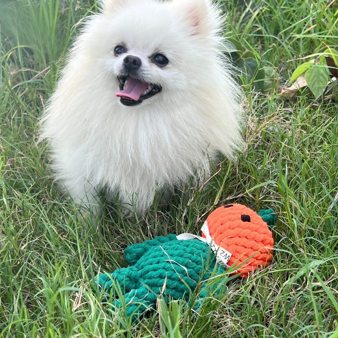 Adam the Pumpkin Baby Rope Toy by Knotty Pawz