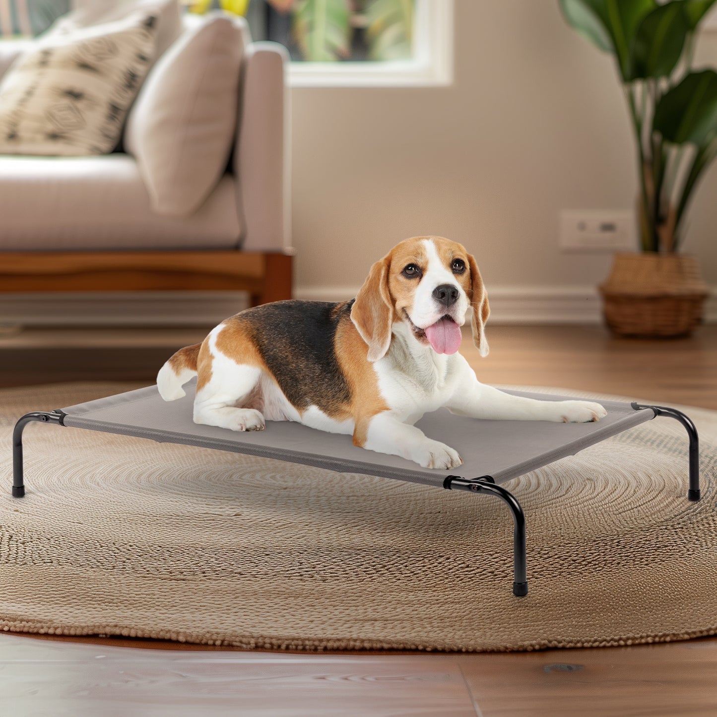 Elevated Pet Beds