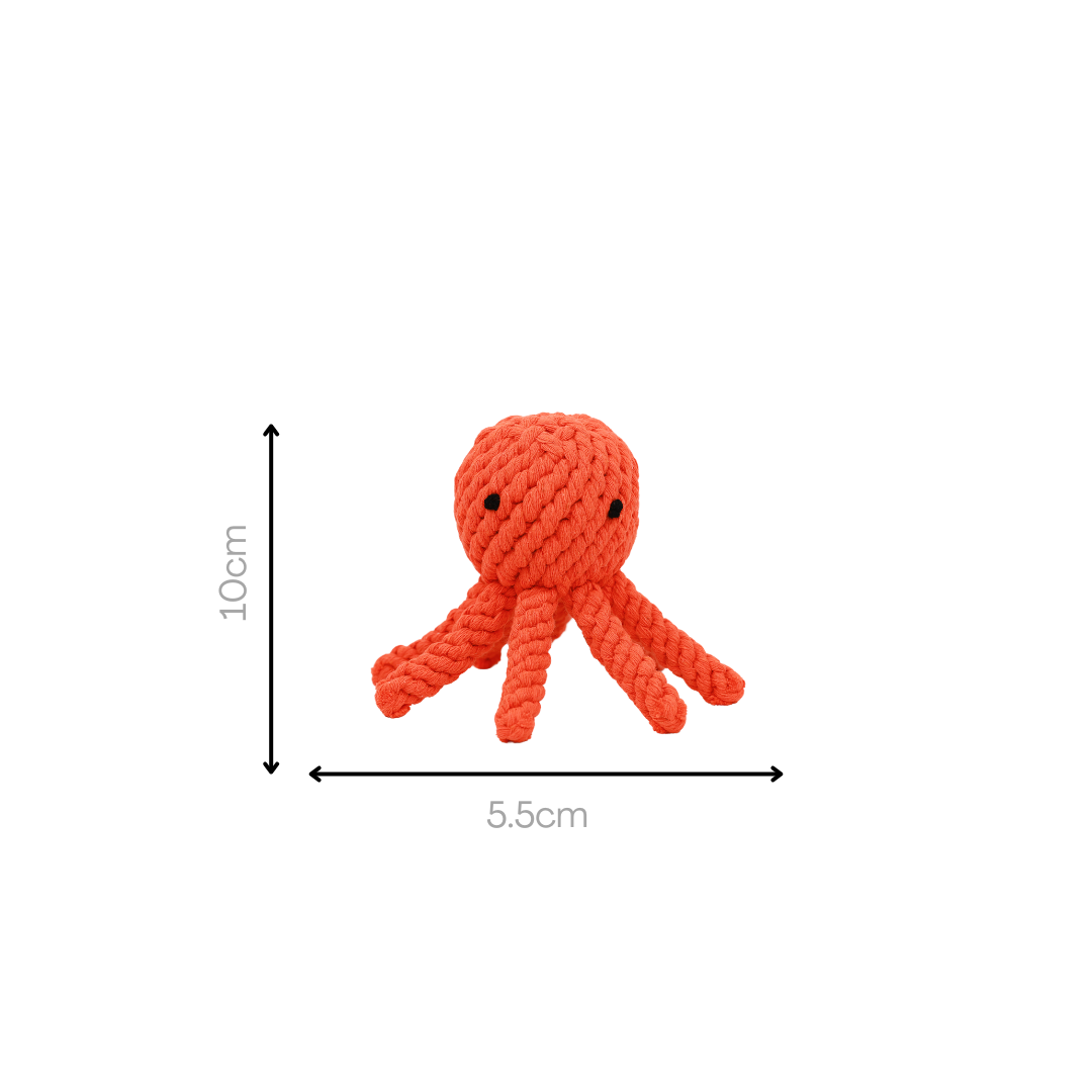 Ollie the Octopus Rope Toy by Knotty Pawz